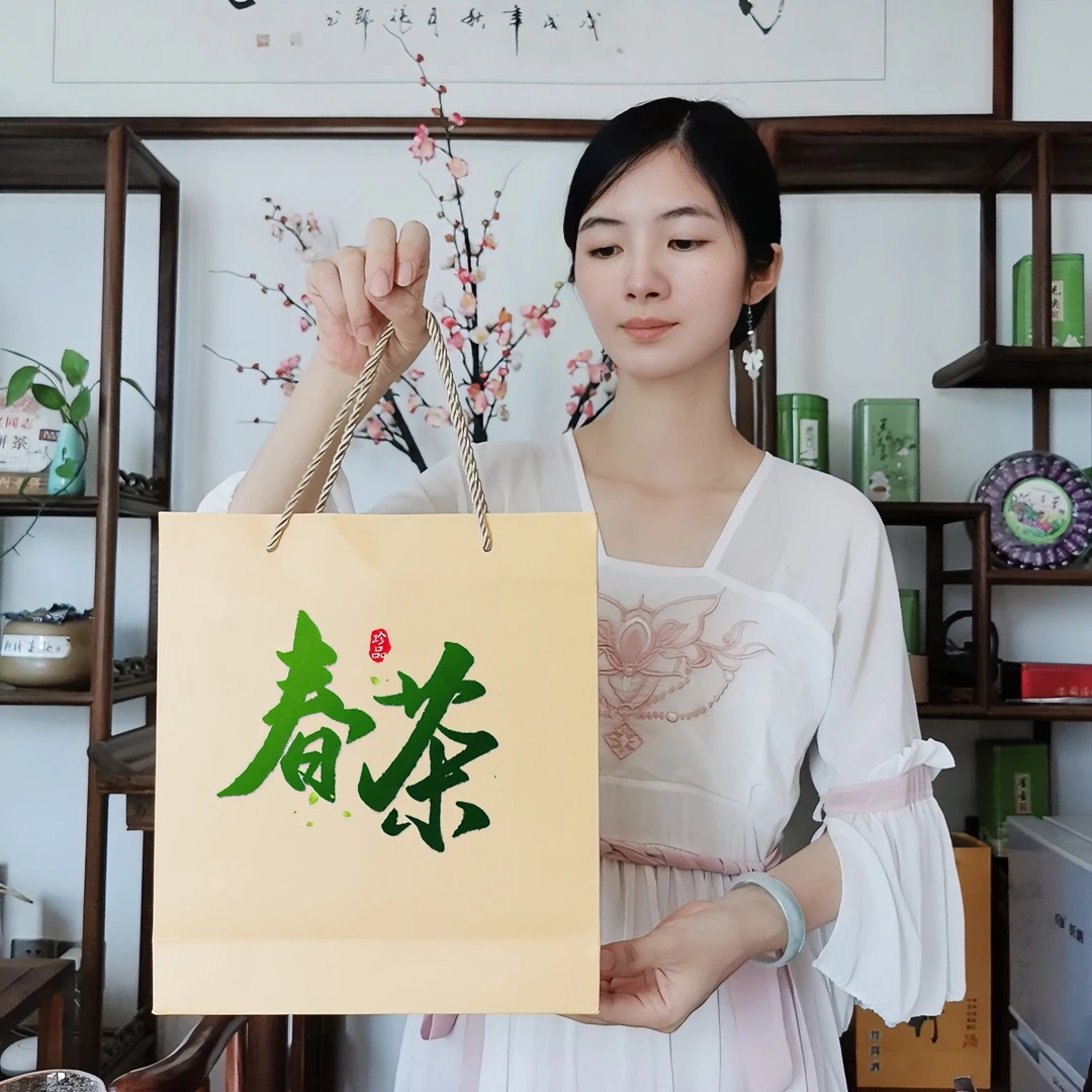 春小丽清香型安溪盒装春季铁观音私房茶250g/盒新茶送礼