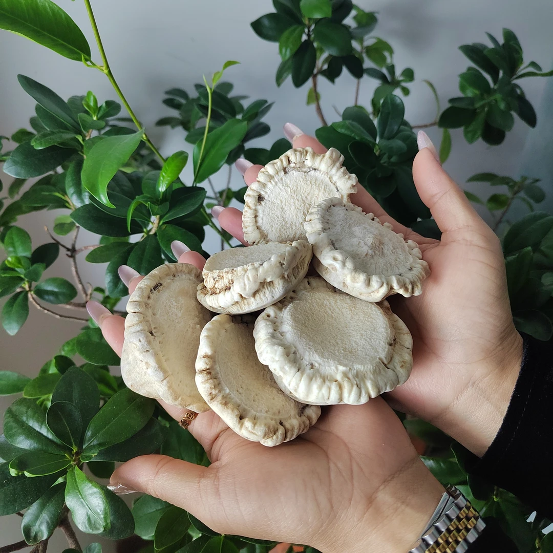 鹿角帽鹿乡精选250g/500g滋补保健