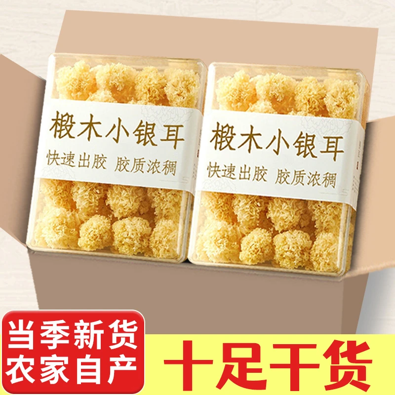 椴木小银耳软糯多胶干货古田农家特产椴木银耳糯耳百合莲子羹胶质
