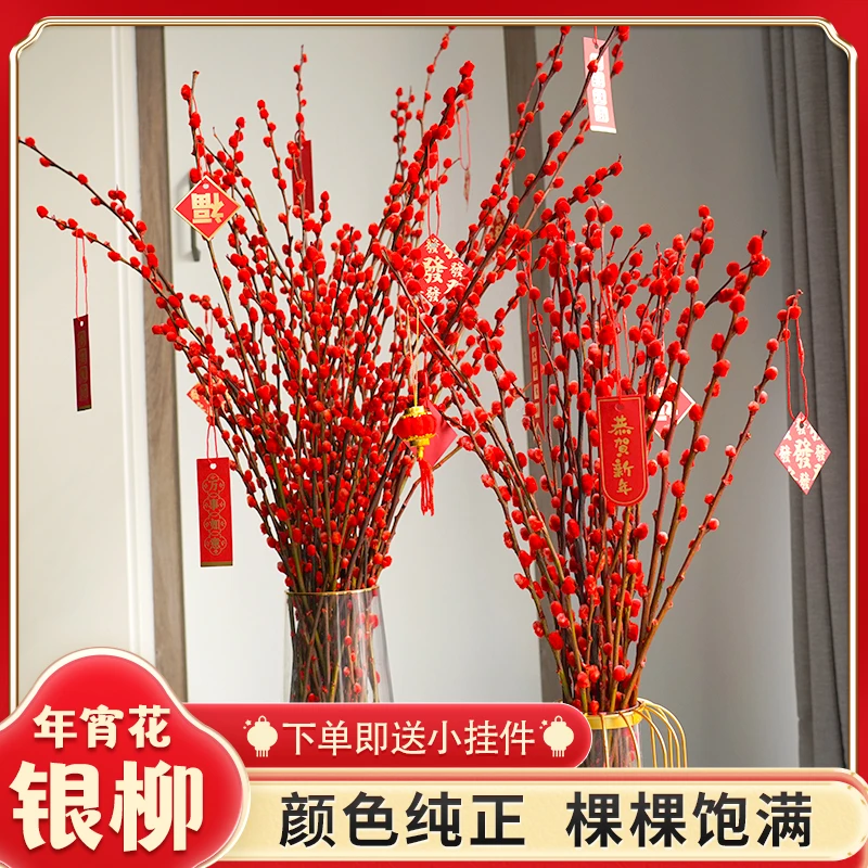 【招财银柳】乔迁贺喜花银柳耐寒新年宵花卉室内氛围客厅摆件装饰花