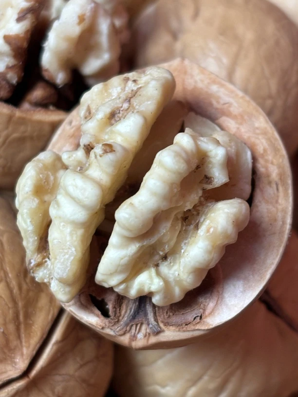 2024年新货手剥核桃