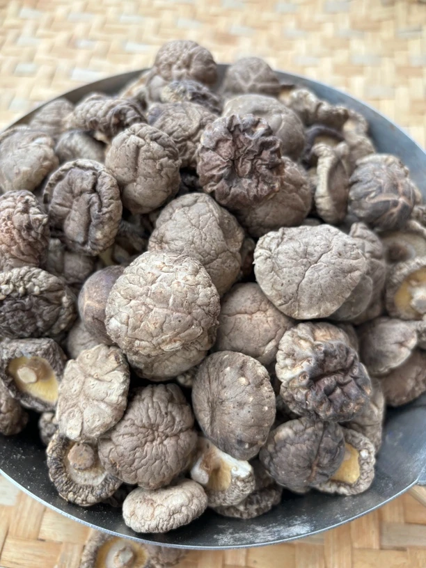 干货精品小香菇食用菌干营养鲜美精送礼品生长