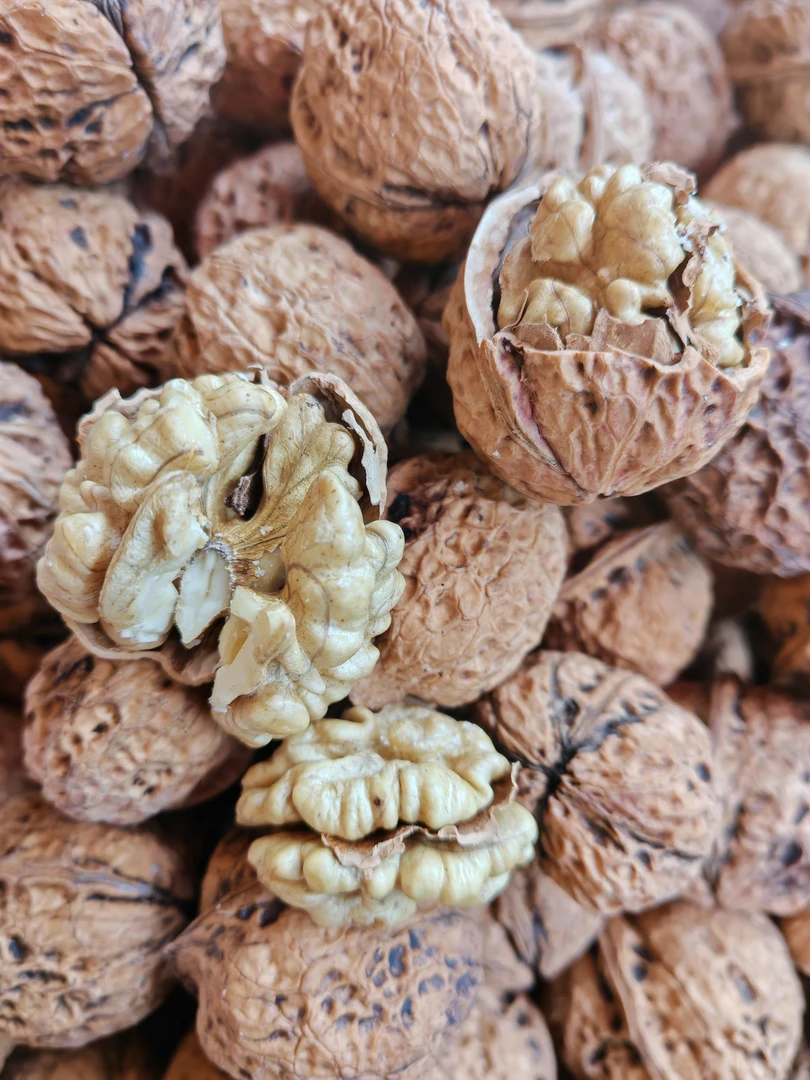 20240年新货原味核桃