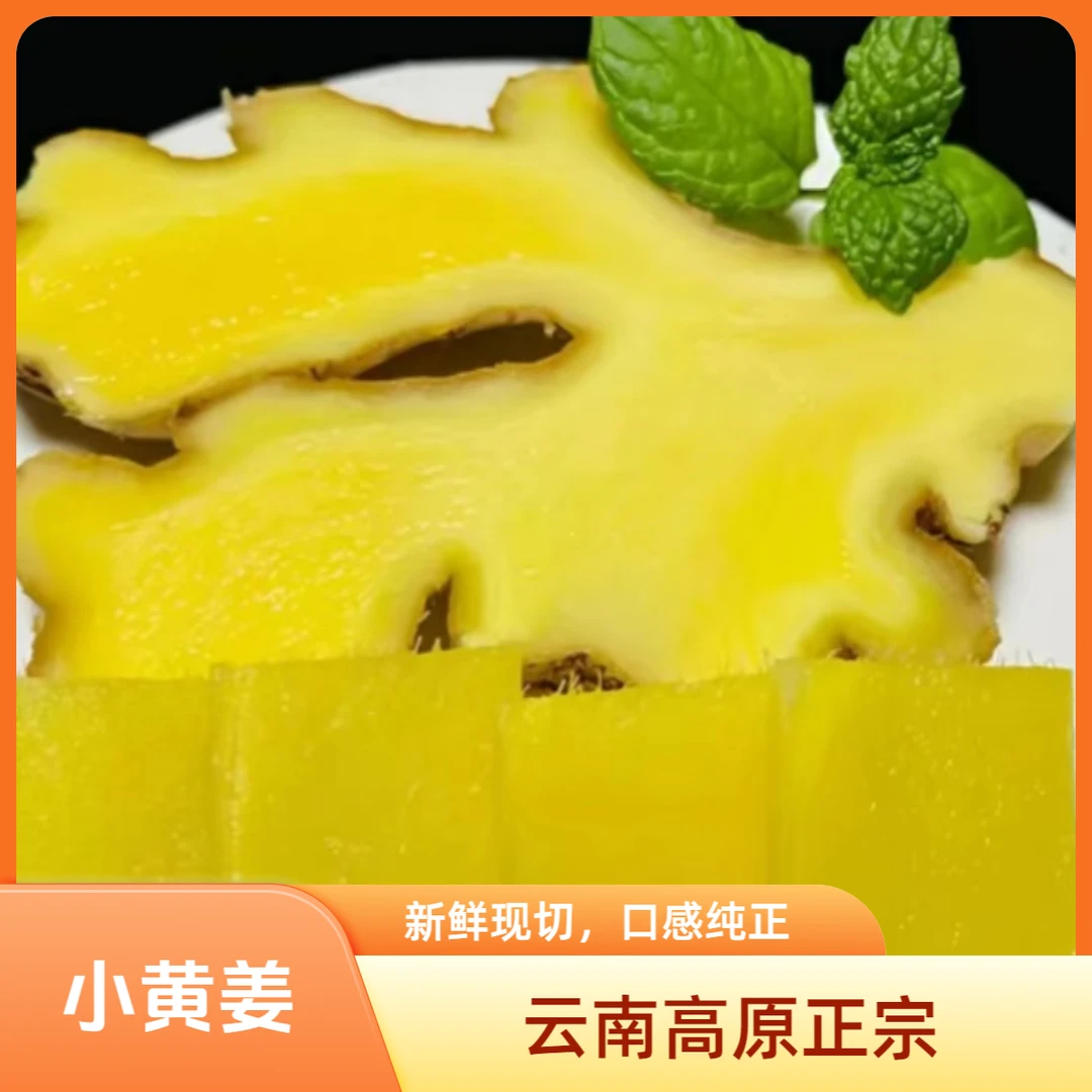 正宗云南山地小黄姜现挖现发3斤/5斤/9斤