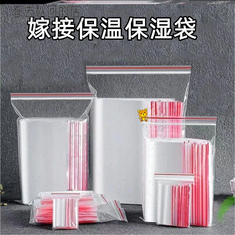 嫁接套袋2023保湿袋保温袋透明透光嫁接刀袋就盆景金撢子造型靠接