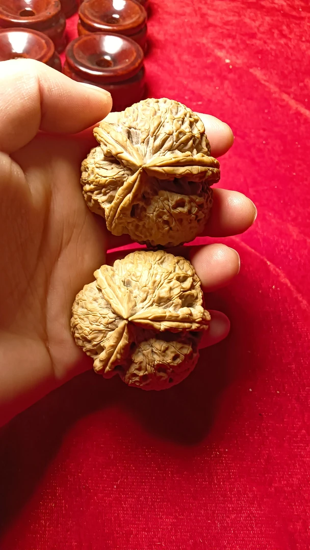 把玩文玩纯野生铁核桃异型粗筋三棱核桃