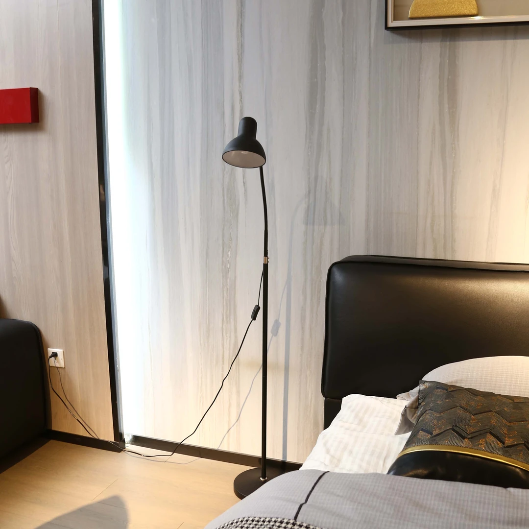 B003#led 护眼客厅北欧简约百搭ins沙发落地灯