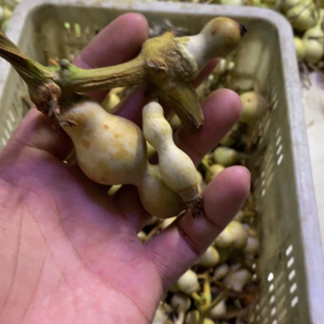 【闪购商品】1****?哈哈哈哈哈哈哈哈