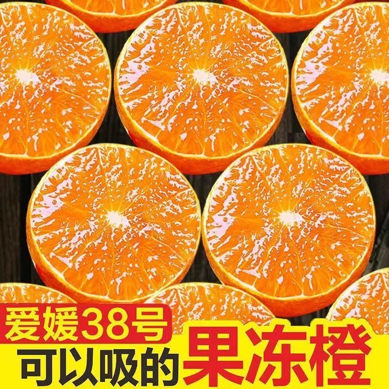 爱媛38果冻橙 现摘鲜橙 四川眉山 核心产区4.5/8斤 新鲜风味十足Y