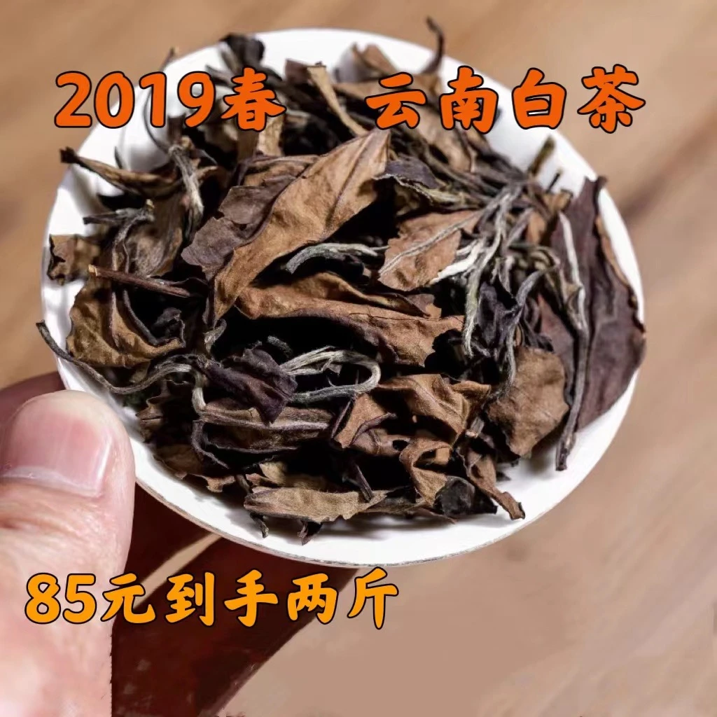 【云南荒山白茶散茶】产地直发正宗不打药外观丑但好喝耐泡