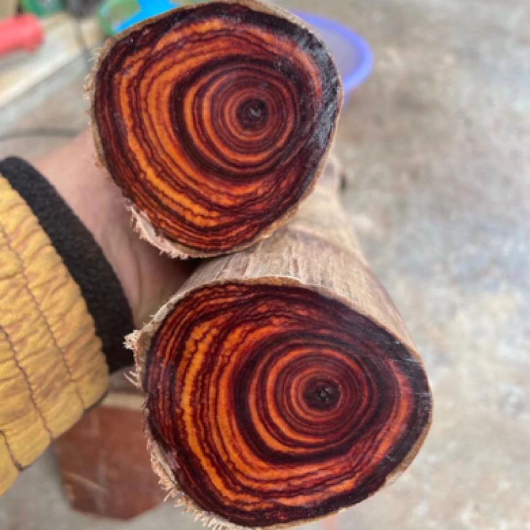 老挝黄花梨老料留疤对眼虎皮纹