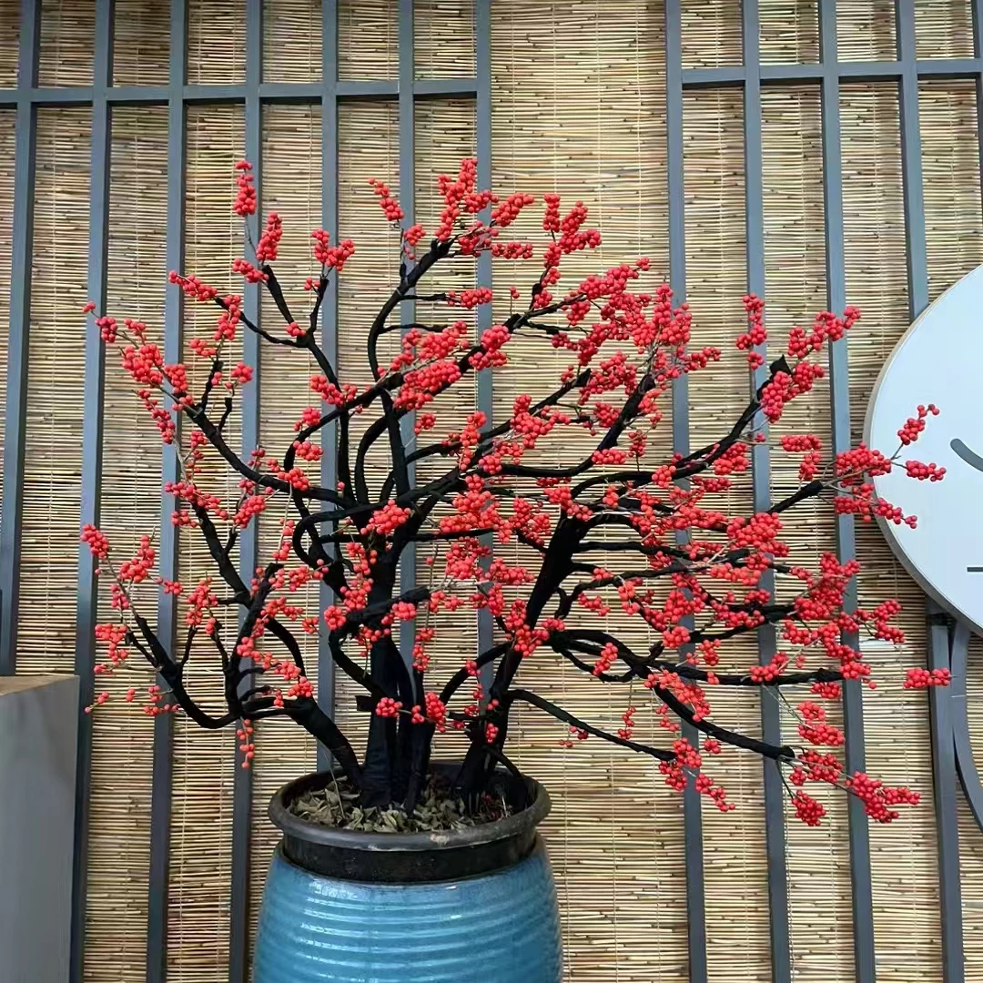 婷婷造型园艺北美冬青直播间一物一拍