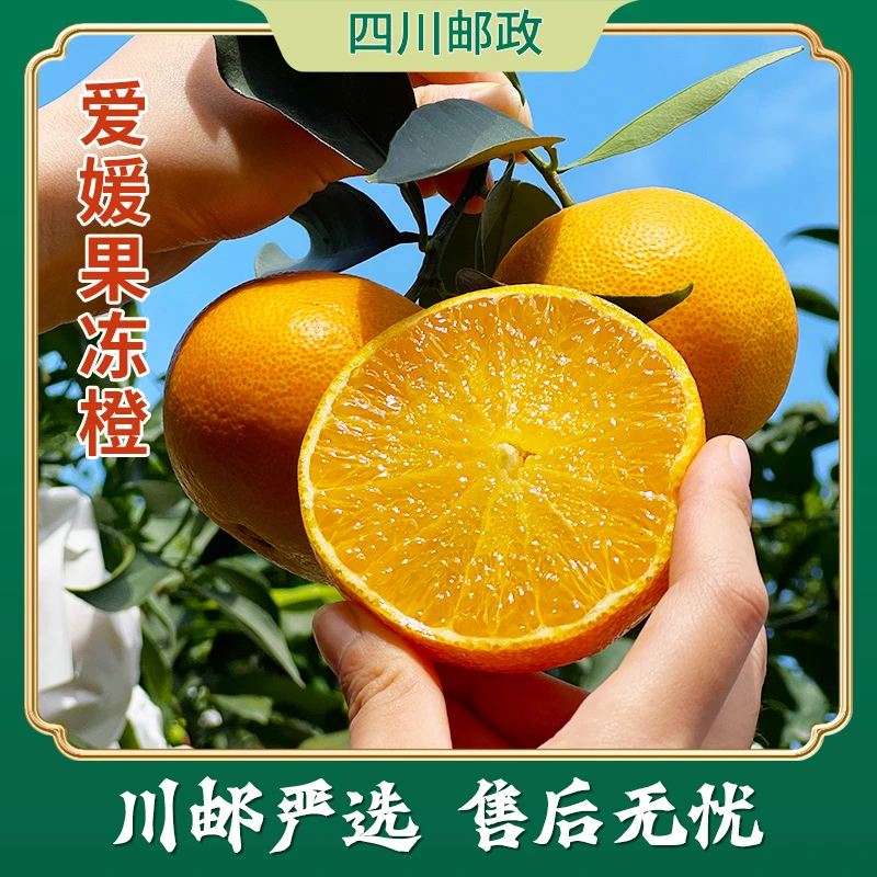 【川邮严选】四川爱媛果冻橙当季柑橘新鲜水果源头直采手剥橙子