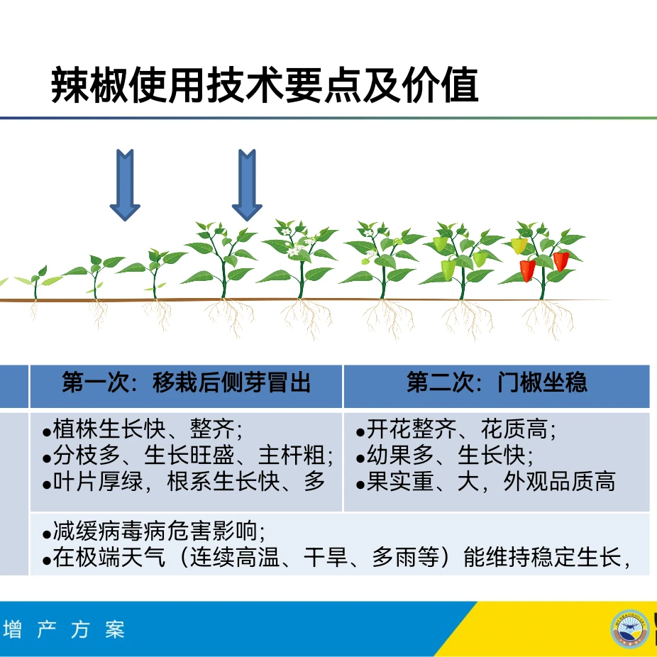 农家情组合套餐方案抗旱，抗寒，抗早衰