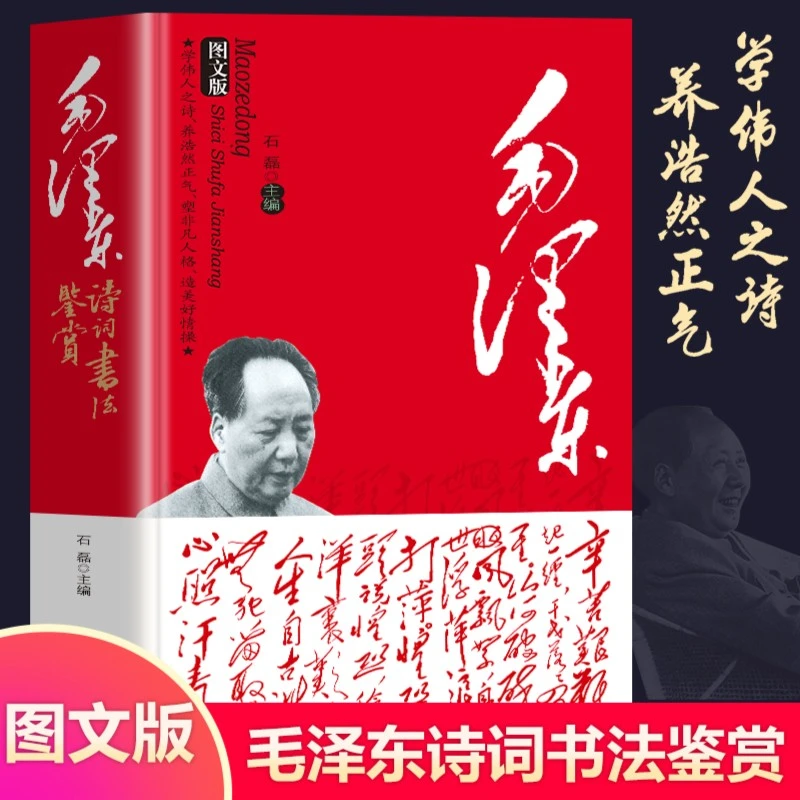 毛泽东诗词书法鉴赏 毛泽东诗词选集赏析注释手迹书法鉴赏诗书籍Q