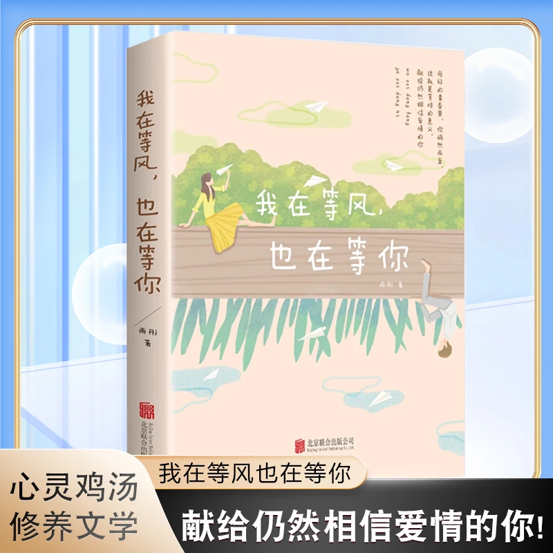 我在等风，也在等你雨彤著 一本洗涤心灵爱情青春都市言情小说D
