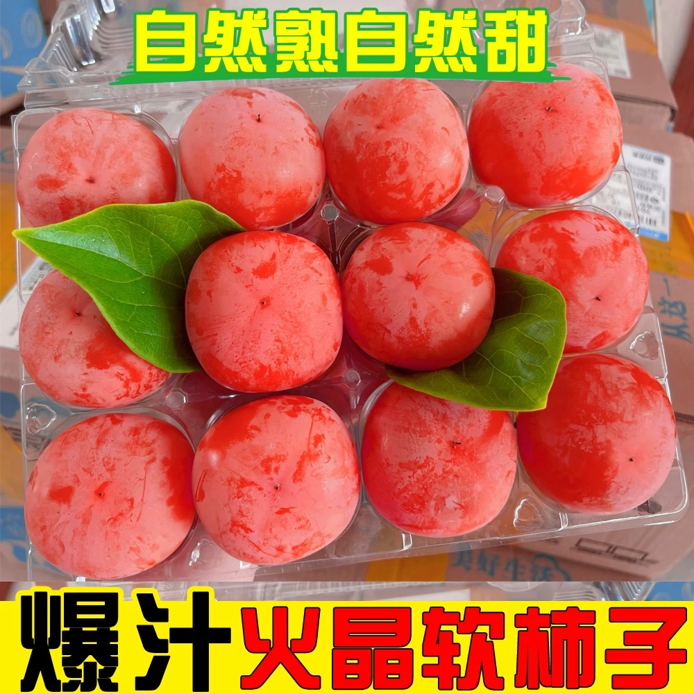 【火晶柿子】【一盒8个】软金枝火柿软柿子野柿子软糯香甜现摘