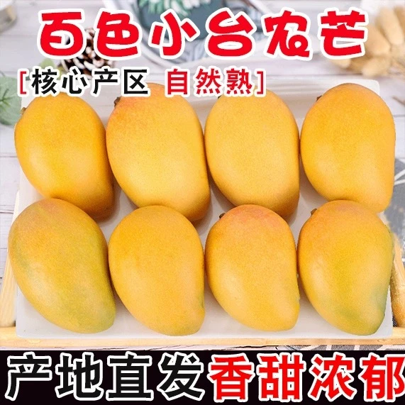 正宗广西白色小台农新鲜现摘芒果应当季热带水果甜芒果净重5/8斤