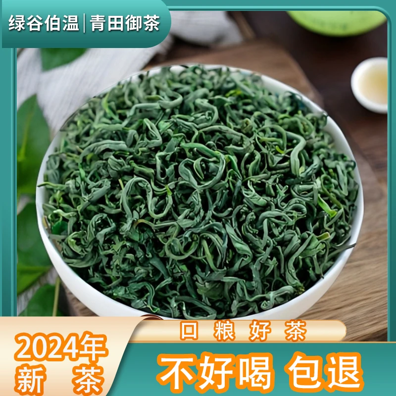 2024新茶【支持试喝】高山云雾茶浓香茶味炒青鲜爽鲜嫩