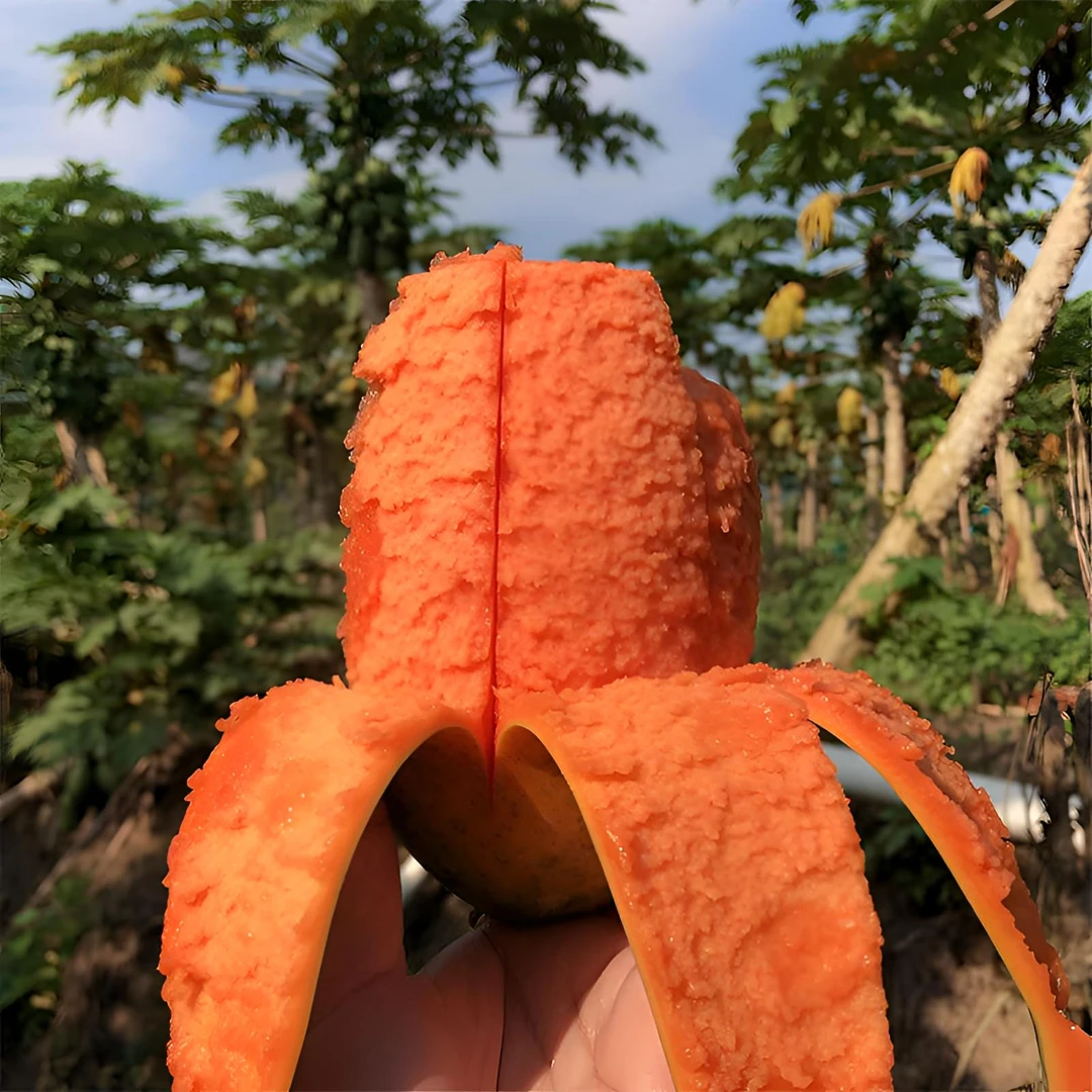 【树上熟】冰糖红心牛奶木瓜超甜红肉木瓜树上熟整箱新鲜包邮到家