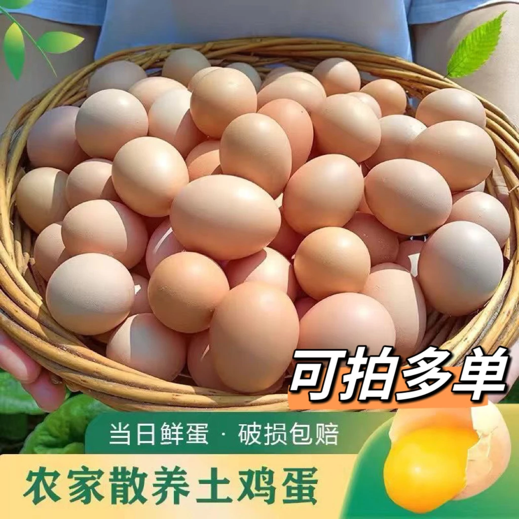 【坏蛋包赔】新鲜土鸡蛋初生蛋农村谷物散养土鸡蛋鲜蛋40±5g40枚装