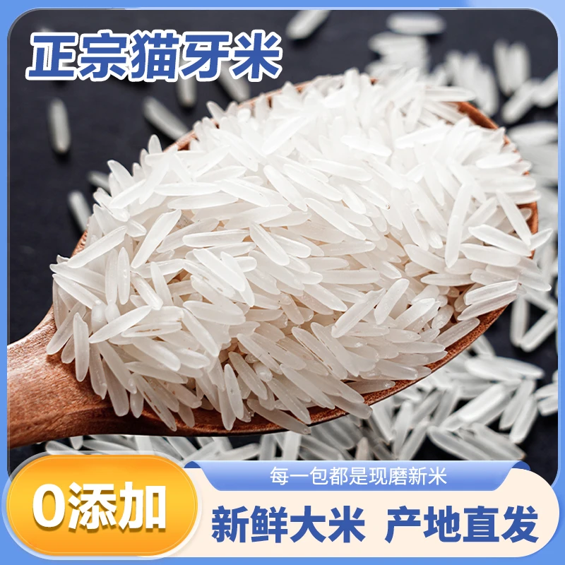 绿宝贡【店长推荐】猫牙米 长粒香米独立包装现磨优质大米口感丰富