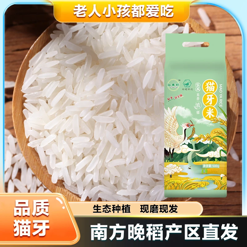 【新米】南方晚稻江西猫牙香米生态种植1斤装厂家直发优惠批发大米