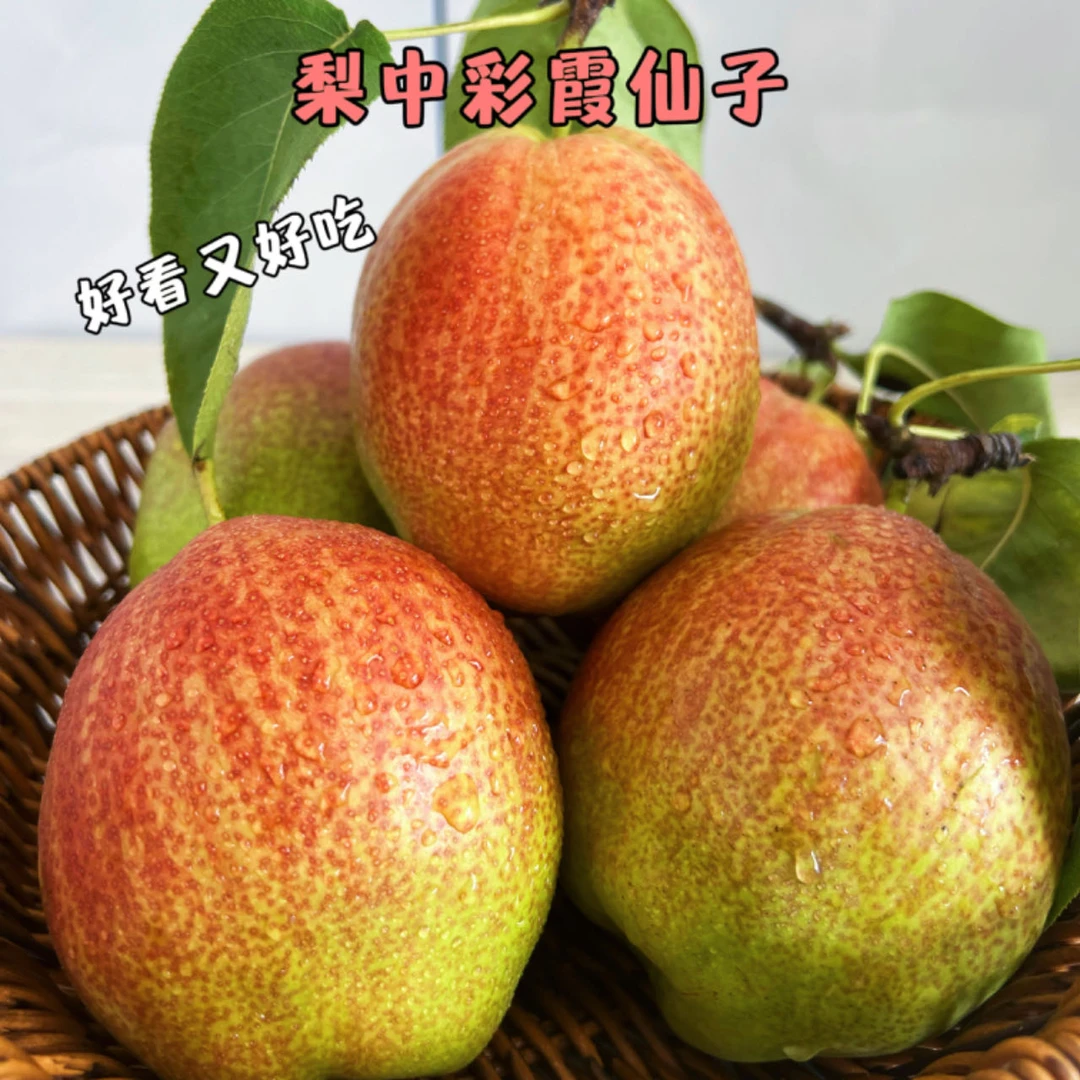 【杉杉专属】水果山东媚梨纯甜不酸皮薄多汁清甜可口京东快递