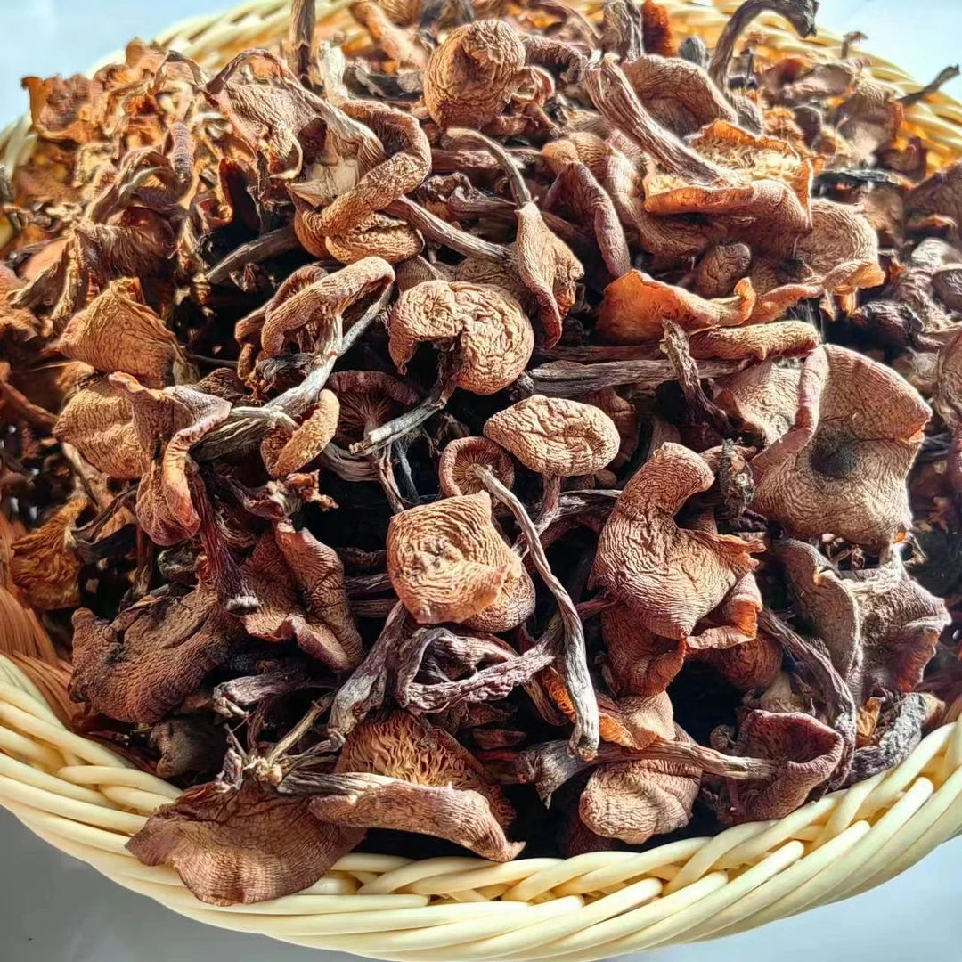 长白山野生榛蘑 自然采摘 日照晾晒 绿色健康