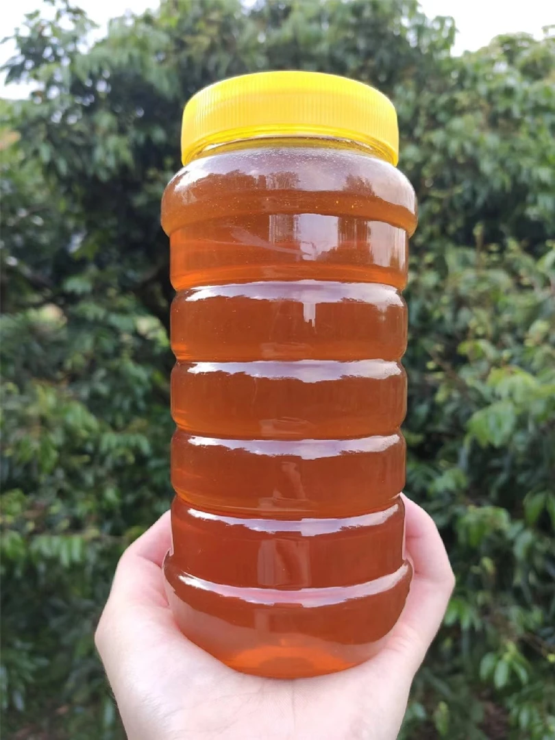 【主播助农】龙眼蜜农家土蜂蜜封盖蜜黑蜂采酿自然成熟蜜
