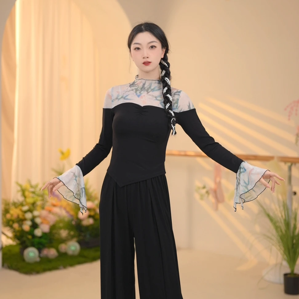 3258 D 现代舞蹈服练功服古典舞蹈身韵演出服长袖2024年新款上衣