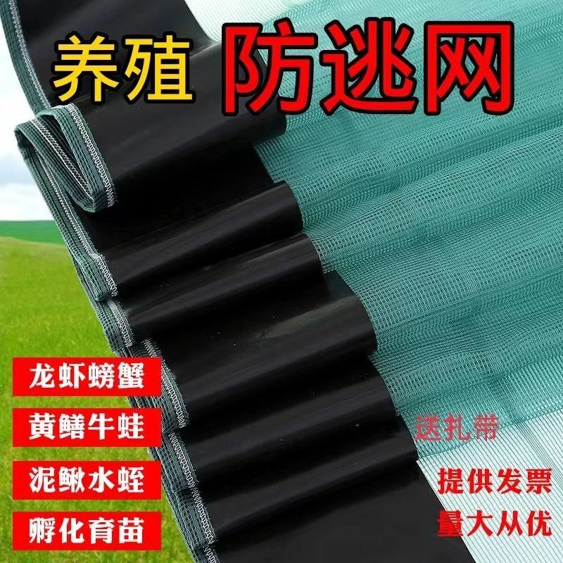 100米价10目小龙虾防逃网龙虾螃蟹甲鱼牛蛙防逃网虾塘围网养殖网