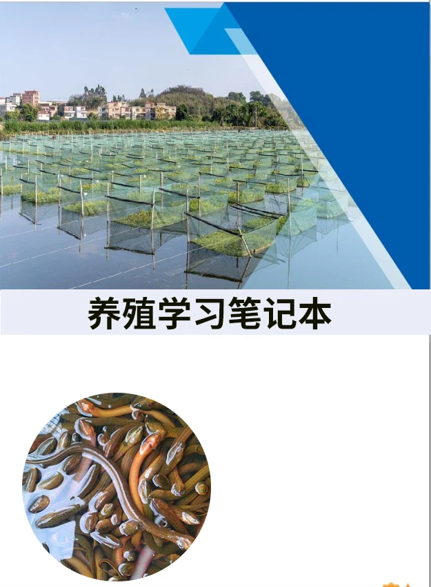 (黄鳝养殖学习专用) 学习笔记本