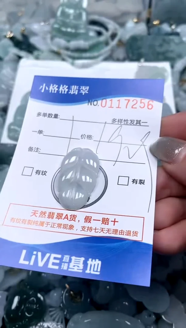 【闪购商品】翡翠颈饰未镶嵌闪购商品0117256