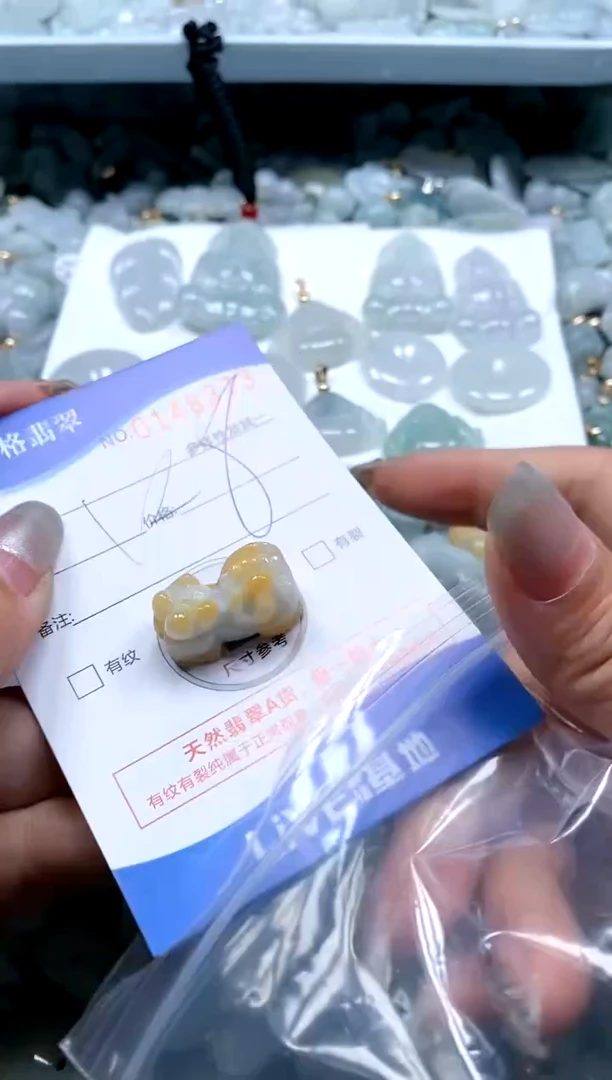 【闪购商品】翡翠颈饰未镶嵌直播闪购0148373