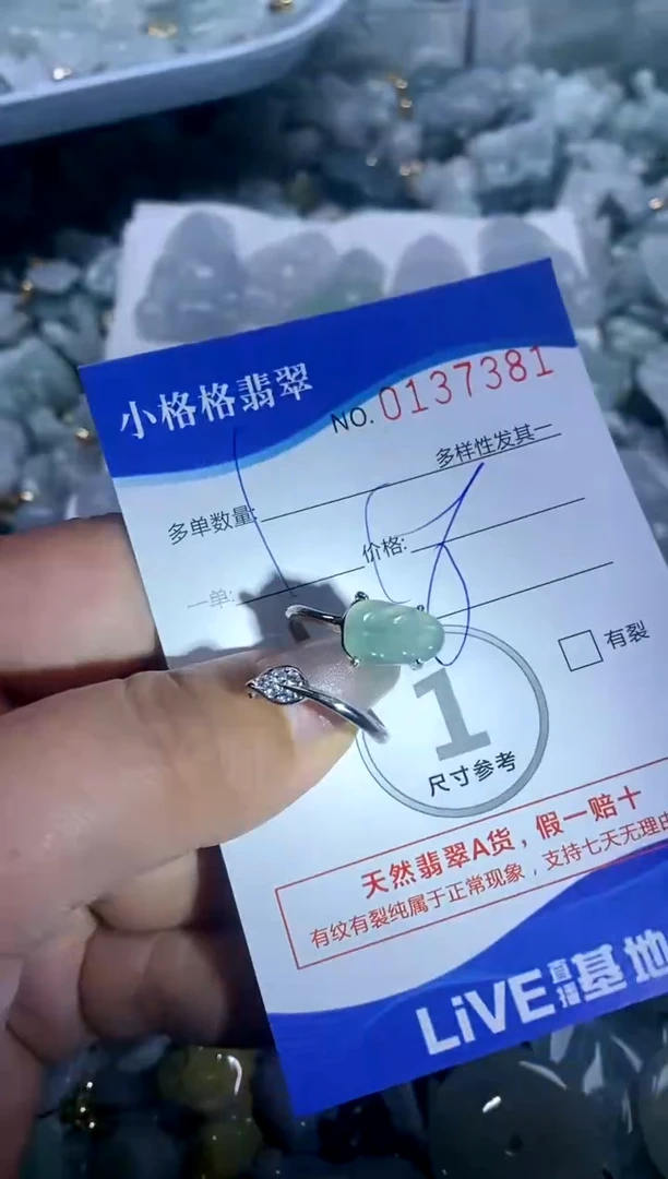【闪购商品】翡翠颈饰未镶嵌闪购商品0137381