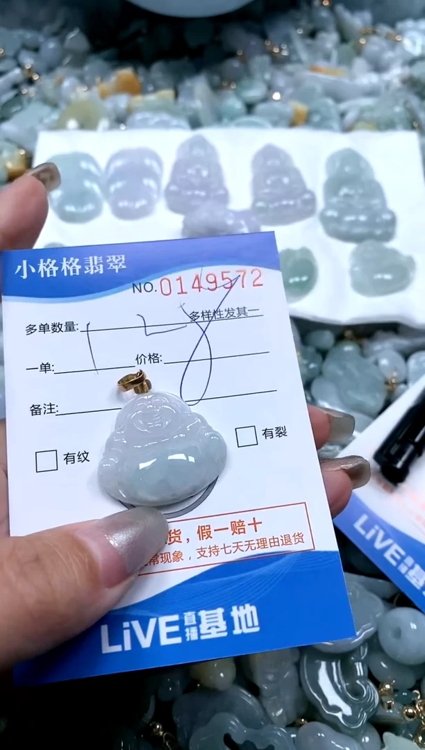 【闪购商品】翡翠颈饰未镶嵌直播闪购0123072