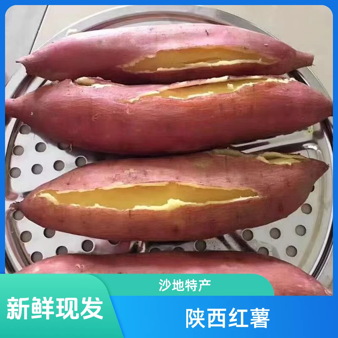 陕西板栗红薯新鲜现挖现发沙地红薯干面粉糯5斤包邮