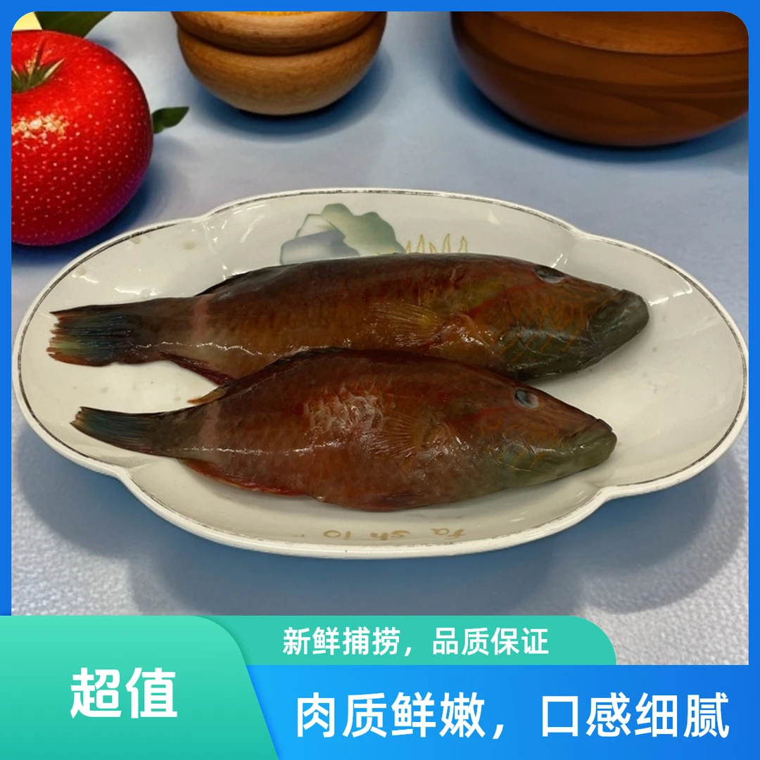 鲜活速冻蓝骨小彩眉鱼新鲜捕捞鲜嫩品质美味清蒸1000g顺丰包邮