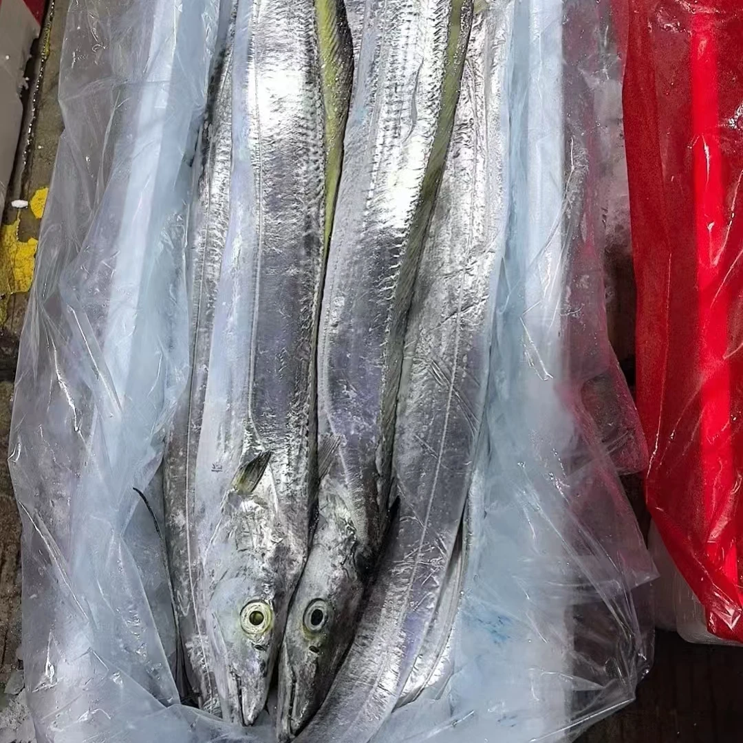 汕尾本港新鲜带鱼(帮杀)套餐年货