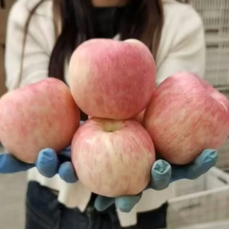 陕西红富士苹果约1000g