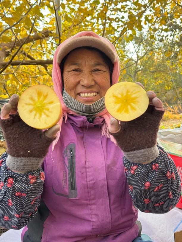 【顺丰包邮坏果包赔】新疆阿克苏冰糖心苹果细腻多汁净重5.5斤