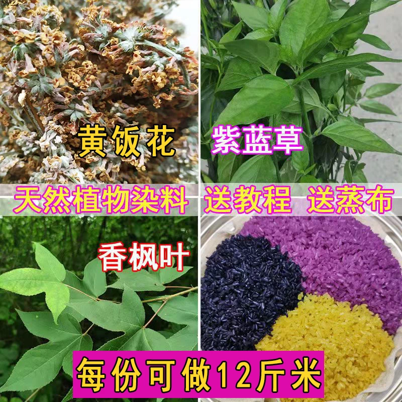 染糯米饭草新鲜染米花广西五色糯米饭植物染料贵州云南染饭花七彩