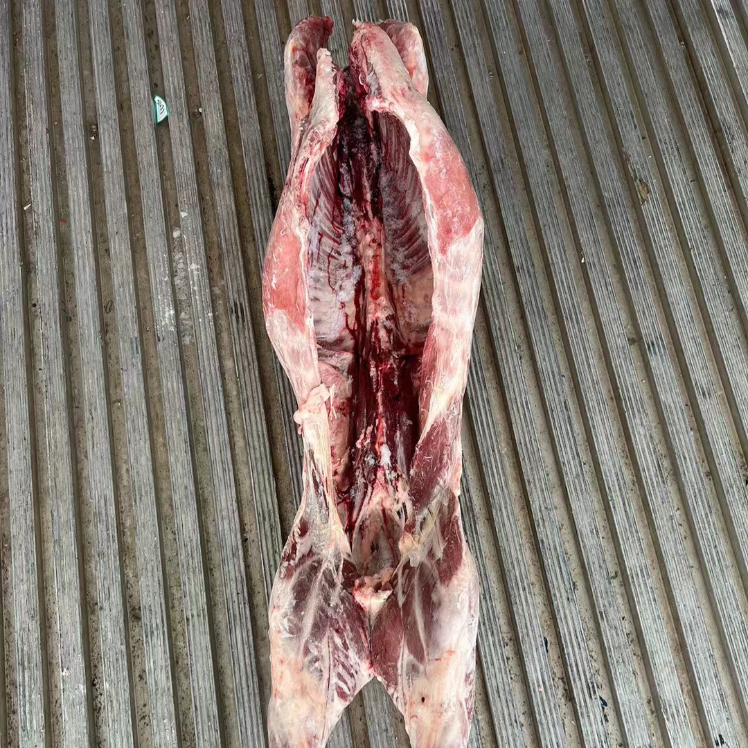 整羊 羊酮体 不分割，整发，连云港码头发货
