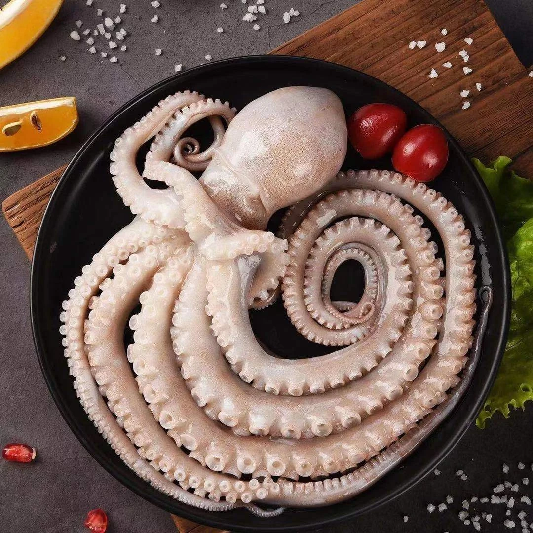 网红长腿爆头八爪鱼 2/4斤 一斤5到7条左右