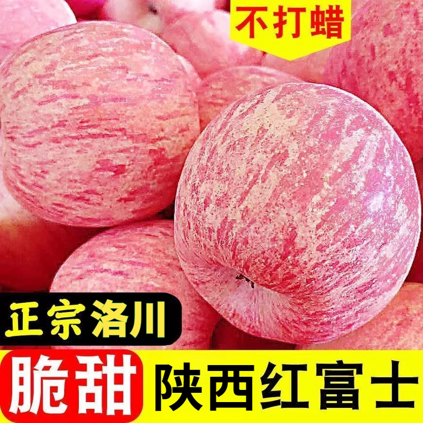 【一人领一箱】正宗山东烟台栖霞红富士苹果应季水果新鲜水果2-10斤