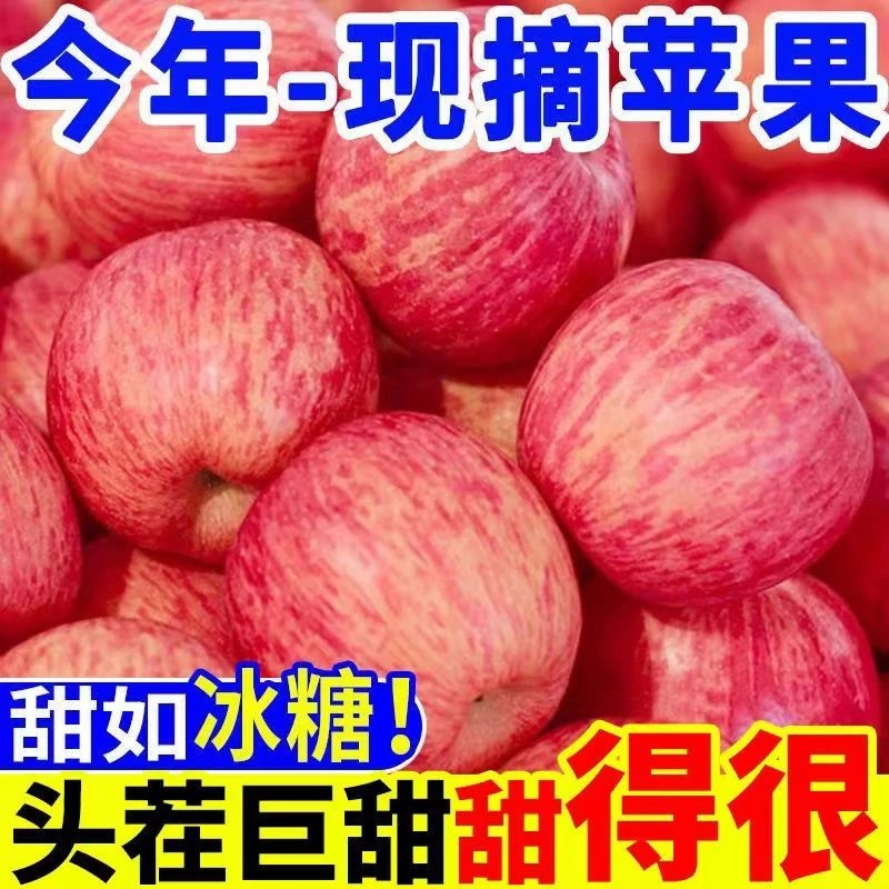 陕西糖心苹果甜脆多汁当季红富士现摘现发整箱商超2/5/10斤装包邮