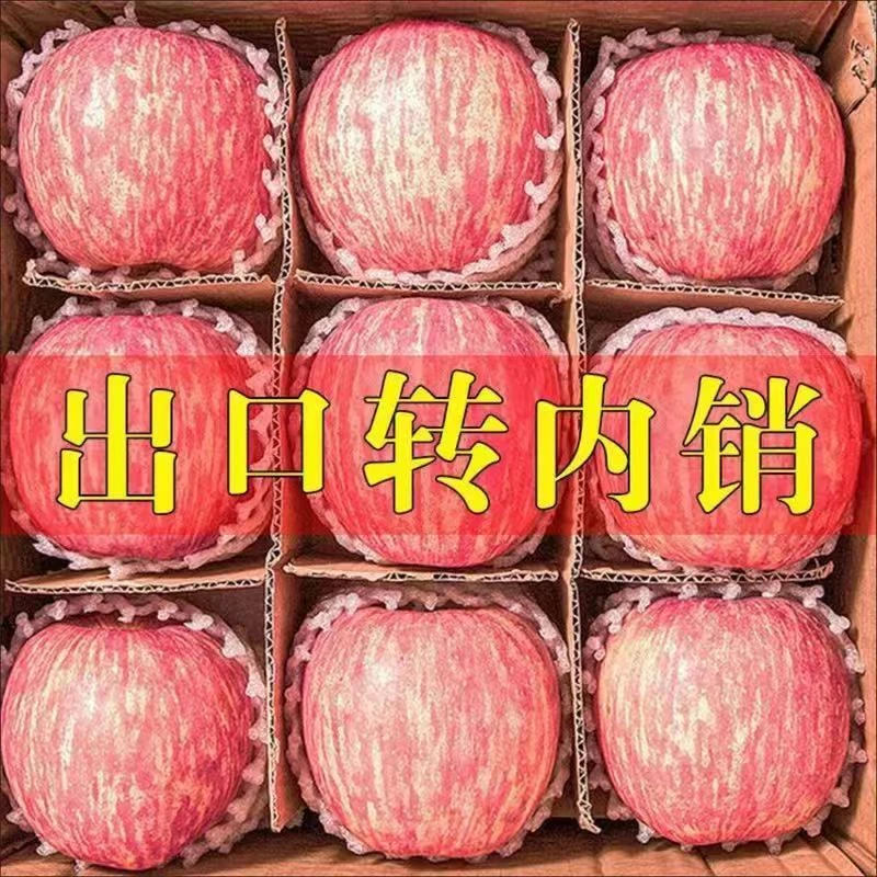 苹果山西运城冰糖心红富士脆甜多汁新鲜水果现摘现发2/5/10斤大果