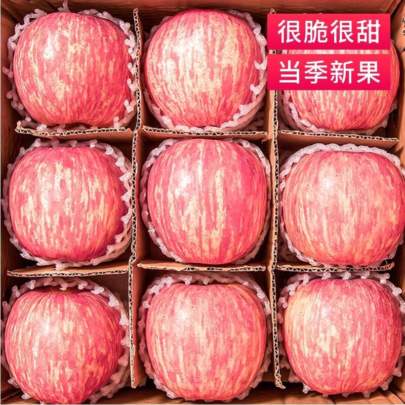 现摘现发陕西洛川红富士苹果2/5/10斤脆甜多汁好吃不腻孕妇水果
