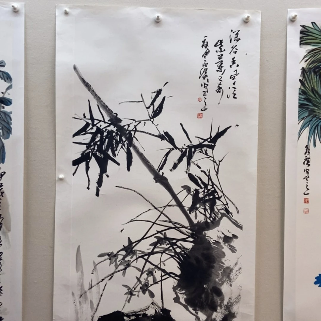 【闪购商品】绘画汀***兰墨鱼精品墨鱼精品
